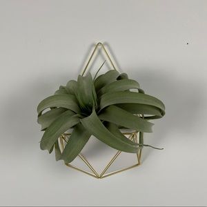 Wall hanging, Home Decor, Plant Hanger